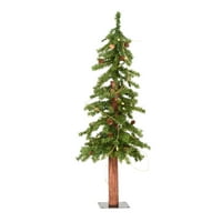 Vickerman 3 'alpska umjetna božićna drvca, topla bijela LED svjetla sa durama - FAU božićno drvce - sezonski