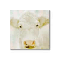 Stupell Industries meka Bijela krava goveda lice krupni plan slojevite pozadinske slike Galerija - omotano