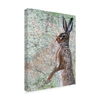 Zaštitni znak Likovne umjetnosti 'March Hare' Canvas art od Jane Wilson