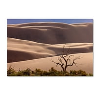 Zaštitni znak likovne umjetnosti' velike pješčane dine NP Drvo ' platnena Umjetnost Mike Jones Photo