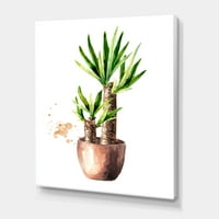Drvo Juke U Keramičkoj Saksiji Za Cvijeće Na Bijelom Slikarskom Platnu Art Print