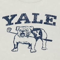 Retro Grafička Majica Za Dječake Sa Univerziteta Yale, 2 Pakovanja, Veličine 4-18