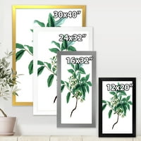 Designart' drevni zeleni listovi biljke IV ' tradicionalni uokvireni umjetnički Print