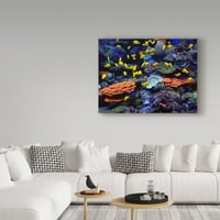 Zaštitni znak Likovna umjetnost' Grebenska riba ' platnena Umjetnost J. D. Mcfarlana