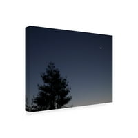 Geoffrey Ansel Agrons' Cheshire Moon ' Canvas Art