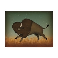 Zaštitni znak Fine Art 'Buffalo Bison II' Platnena umjetnost Ryan Fowler
