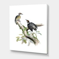 Drevne ptice u Wild VIII slikarstvu na platnu Art Print