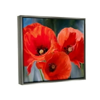 Bold Crveni Mak Cvijet Trio Botaničko-Cvjetno Slikarstvo Sjaj Siva Uokvirena Umjetnost Print Wall Art