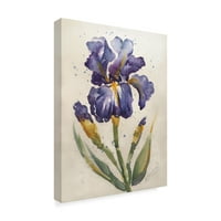 Zaštitni znak Likovna umjetnost 'Plava obojena iris' platna umjetnost Wendra