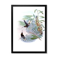 PROIZVODNJA Drevna kolingbird na grani tradicionalni uokvireni umjetnički otisak