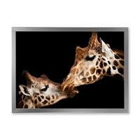 Designart 'Close up of Two Giraffe Kissing II' seoska kuća uokvirena Art Print