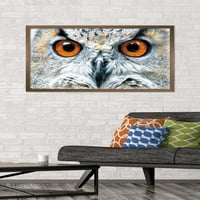Owl - Zatvori zidni poster, 22.375 34