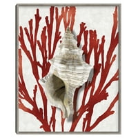 Shell Coral Red III Caroline Kelly Inverted Wood Bo Frame Art Print