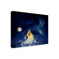 Zaštitni znak likovne umjetnosti' more zvijezda ' platnena Umjetnost Kirka Reinerta